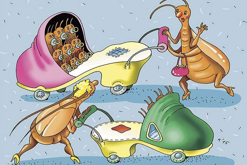 Parasites