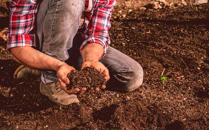 Parasitic infection through the soil