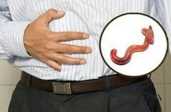 The effect of parasites on the human body