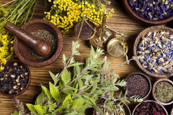 Herbs to remove parasites from the body