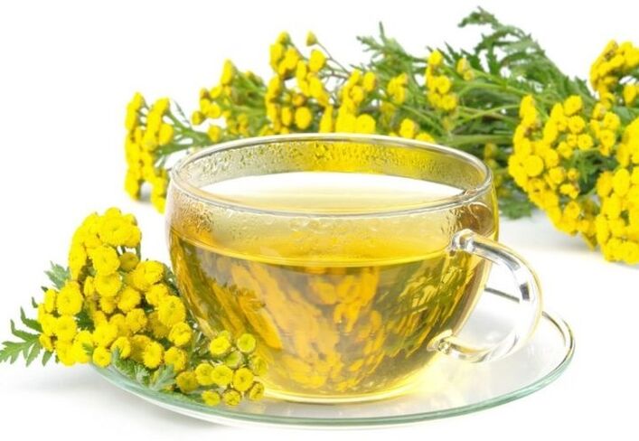 Decoction of tansin in the organism of parasites