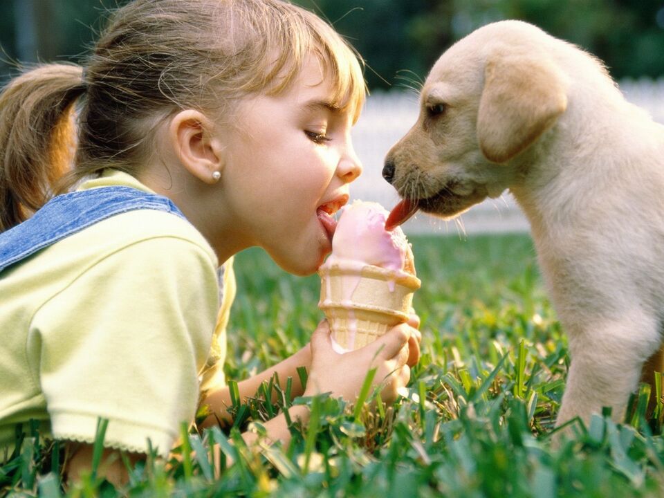 A girl and a dog eat ice cream and become infected with parasites