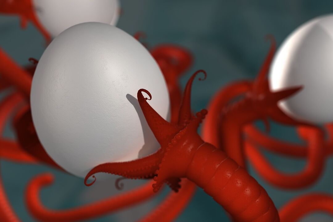 A human worm parasite